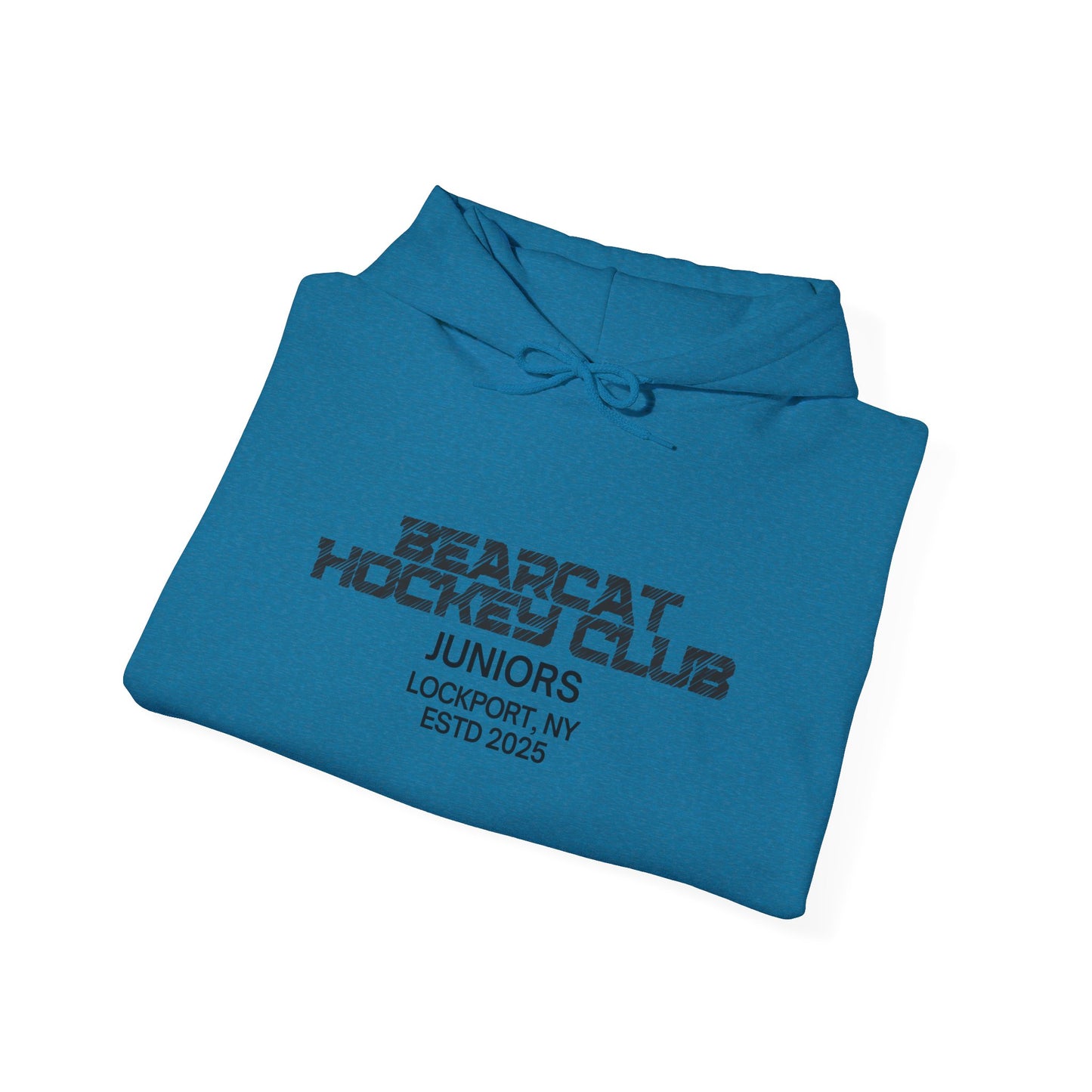 Bearcat Juniors Hoodie - Founding Family
