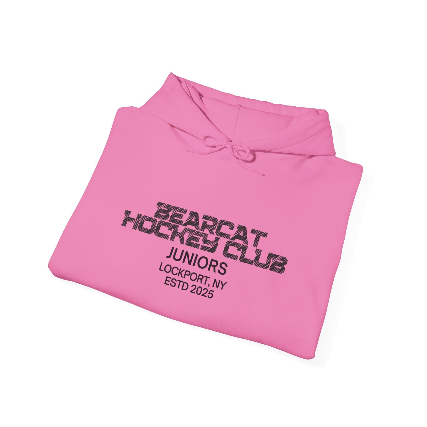 Bearcat Juniors Hoodie - Founding Family